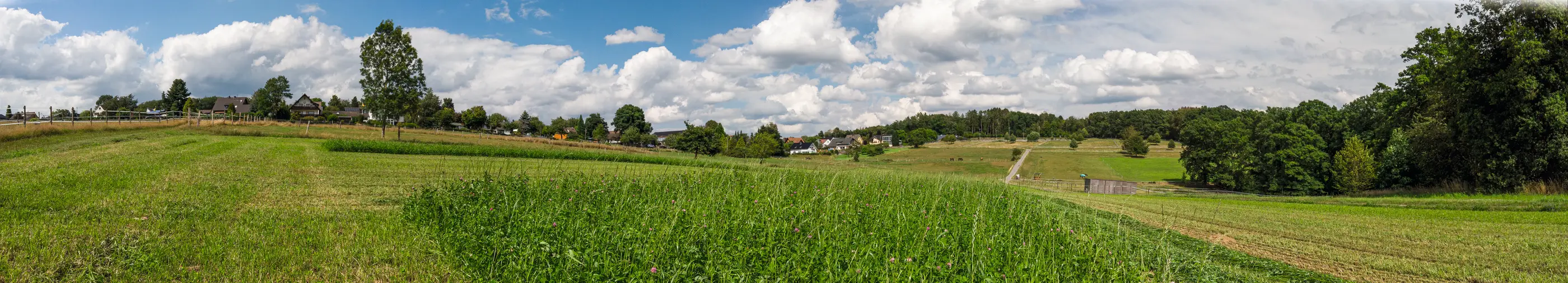 Panorama von Hübender – Blick über die Wiesen auf das Dorf